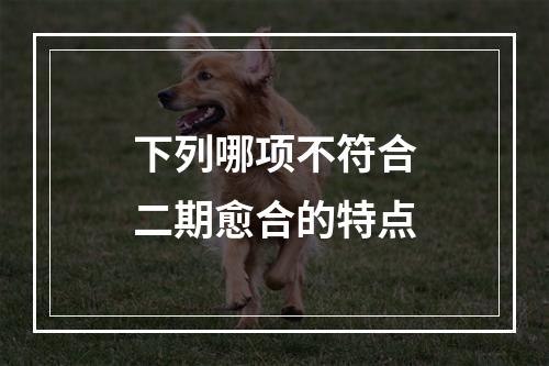 下列哪项不符合二期愈合的特点