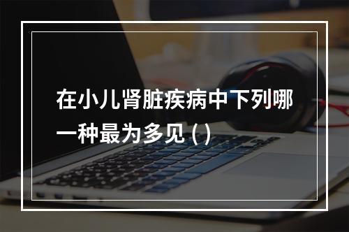 在小儿肾脏疾病中下列哪一种最为多见 ( )