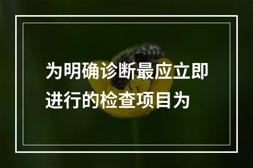 为明确诊断最应立即进行的检查项目为