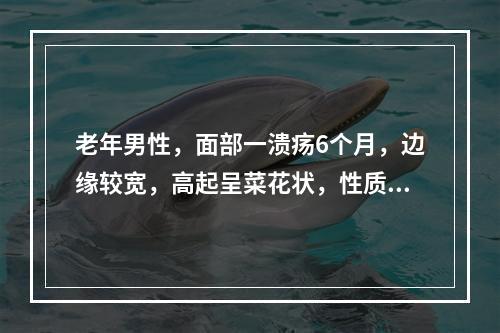 老年男性，面部一溃疡6个月，边缘较宽，高起呈菜花状，性质坚硬