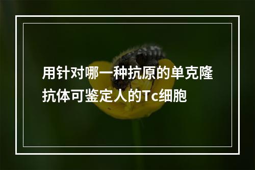 用针对哪一种抗原的单克隆抗体可鉴定人的Tc细胞