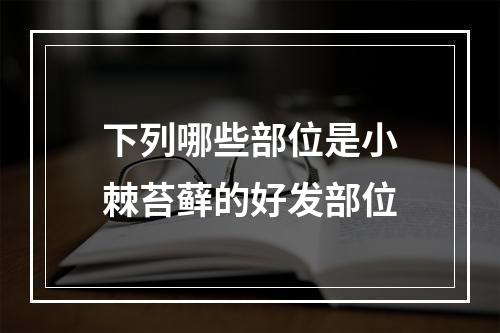 下列哪些部位是小棘苔藓的好发部位