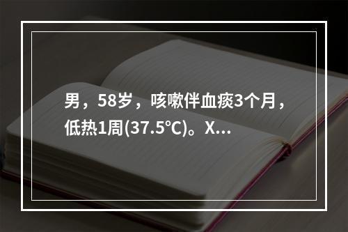 男，58岁，咳嗽伴血痰3个月，低热1周(37.5℃)。X线胸