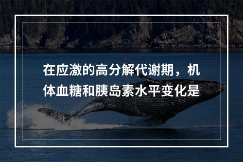 在应激的高分解代谢期，机体血糖和胰岛素水平变化是