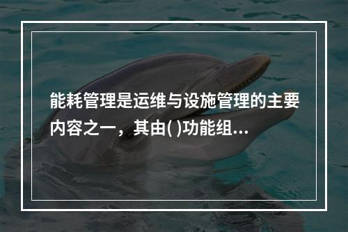 能耗管理是运维与设施管理的主要内容之一，其由( )功能组成。