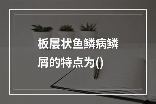 板层状鱼鳞病鳞屑的特点为()