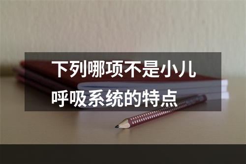 下列哪项不是小儿呼吸系统的特点