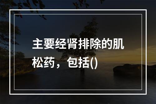 主要经肾排除的肌松药，包括()