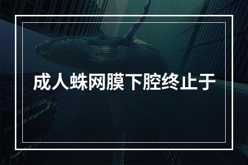 成人蛛网膜下腔终止于