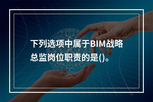 下列选项中属于BIM战略总监岗位职责的是()。