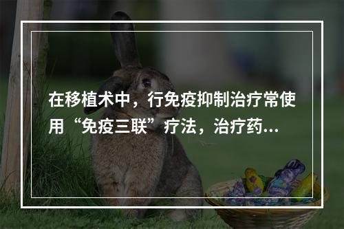 在移植术中，行免疫抑制治疗常使用“免疫三联”疗法，治疗药物包