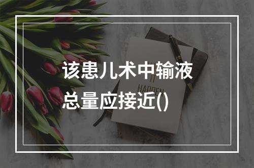 该患儿术中输液总量应接近()