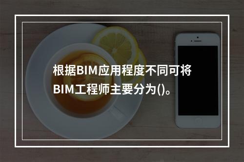 根据BIM应用程度不同可将BIM工程师主要分为()。