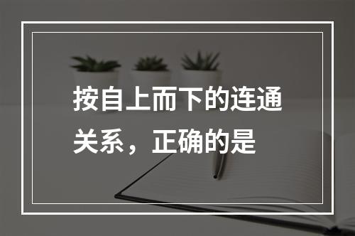 按自上而下的连通关系，正确的是