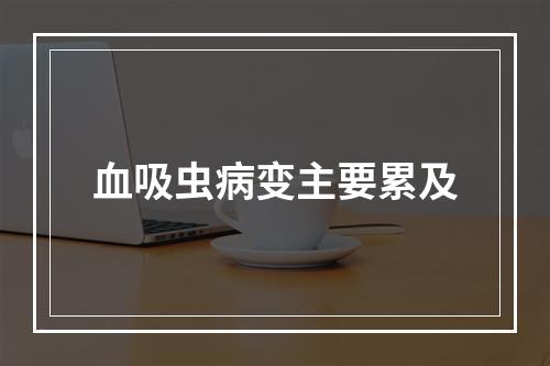 血吸虫病变主要累及