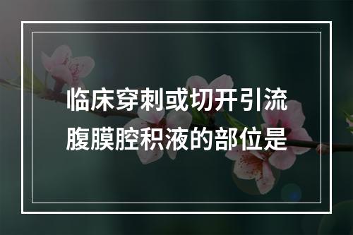 临床穿刺或切开引流腹膜腔积液的部位是