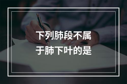 下列肺段不属于肺下叶的是