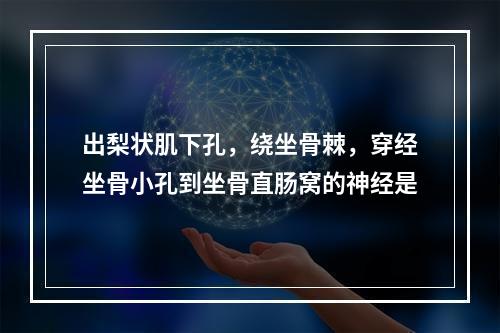 出梨状肌下孔，绕坐骨棘，穿经坐骨小孔到坐骨直肠窝的神经是