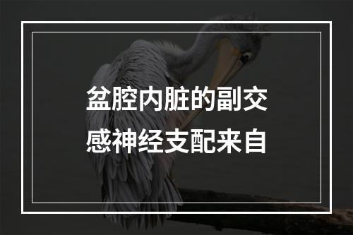 盆腔内脏的副交感神经支配来自