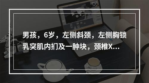 男孩，6岁，左侧斜颈，左侧胸锁乳突肌内扪及一肿块，颈椎X线片