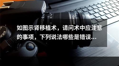 如图示肾移植术，请问术中应注意的事项，下列说法哪些是错误的(