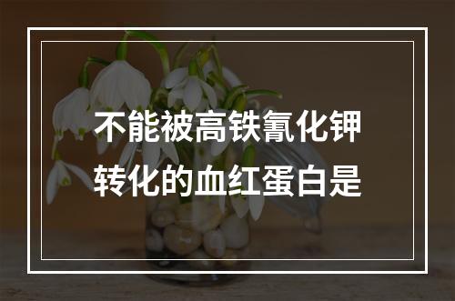 不能被高铁氰化钾转化的血红蛋白是