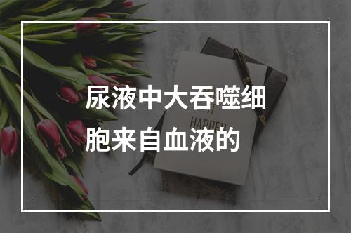 尿液中大吞噬细胞来自血液的