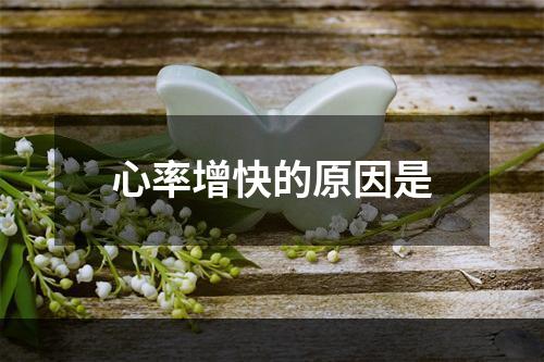 心率增快的原因是