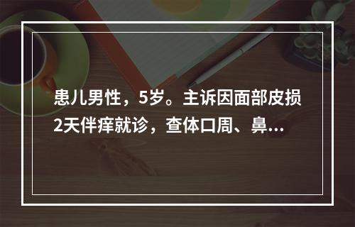 患儿男性，5岁。主诉因面部皮损2天伴痒就诊，查体口周、鼻孔附