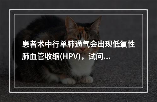 患者术中行单肺通气会出现低氧性肺血管收缩(HPV)，试问下列