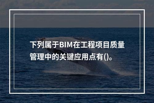 下列属于BIM在工程项目质量管理中的关键应用点有()。