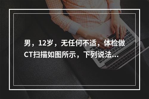 男，12岁，无任何不适，体检做CT扫描如图所示，下列说法错误