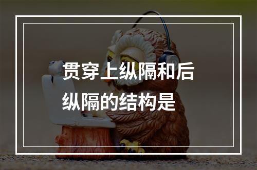 贯穿上纵隔和后纵隔的结构是