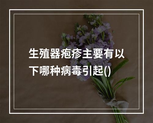 生殖器疱疹主要有以下哪种病毒引起()