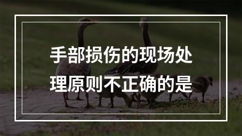 手部损伤的现场处理原则不正确的是