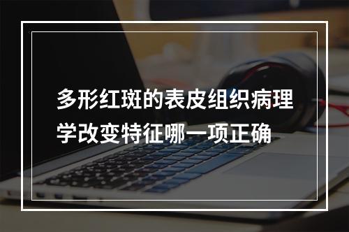 多形红斑的表皮组织病理学改变特征哪一项正确