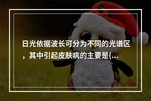 日光依据波长可分为不同的光谱区，其中引起皮肤病的主要是()