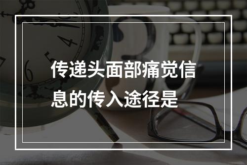 传递头面部痛觉信息的传入途径是