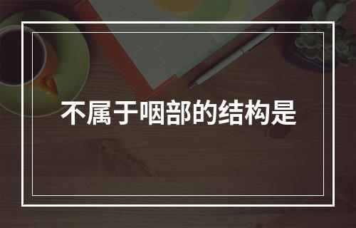 不属于咽部的结构是