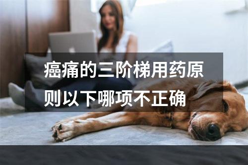 癌痛的三阶梯用药原则以下哪项不正确