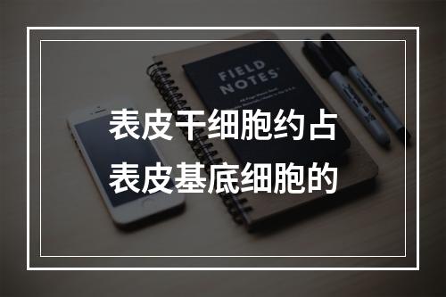 表皮干细胞约占表皮基底细胞的