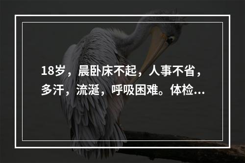 18岁，晨卧床不起，人事不省，多汗，流涎，呼吸困难。体检：神