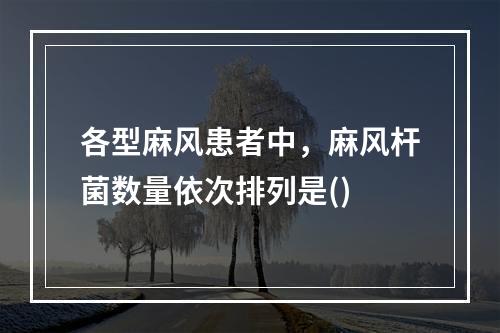 各型麻风患者中，麻风杆菌数量依次排列是()