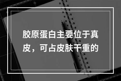 胶原蛋白主要位于真皮，可占皮肤干重的