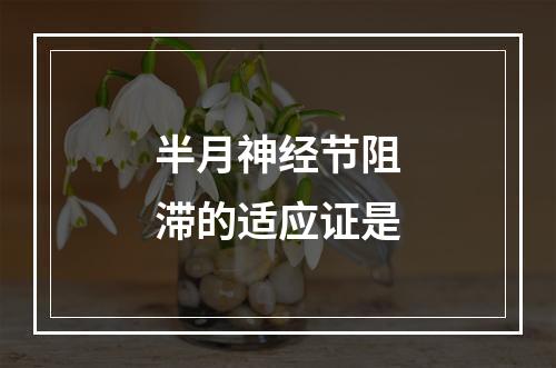 半月神经节阻滞的适应证是