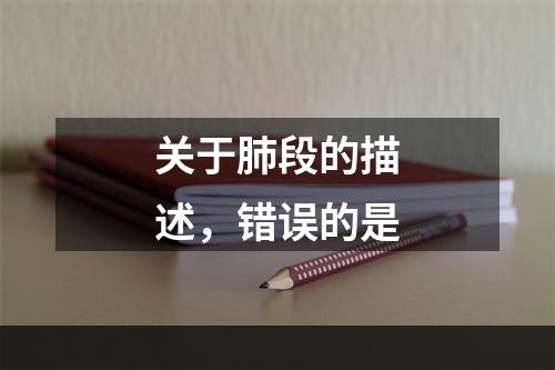 关于肺段的描述，错误的是