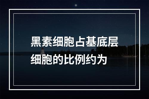 黑素细胞占基底层细胞的比例约为