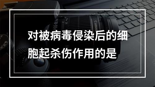 对被病毒侵染后的细胞起杀伤作用的是