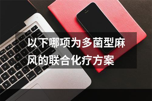 以下哪项为多菌型麻风的联合化疗方案