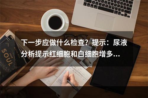 下一步应做什么检查？提示：尿液分析提示红细胞和白细胞增多，亚